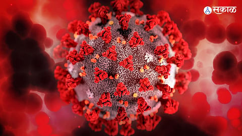 HMPV Virus Alert