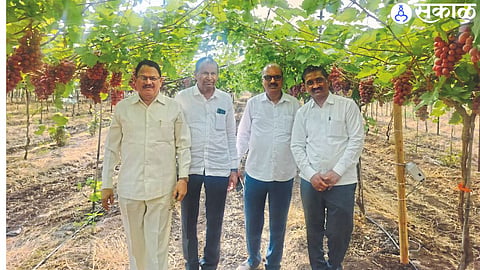 Manikrao Patil, Tukaram Borade, Bhushan Dhanwate, Sopanrao Borade while inspecting aroma variety.