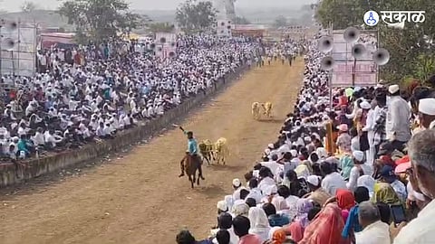 Bailgada Sharyat