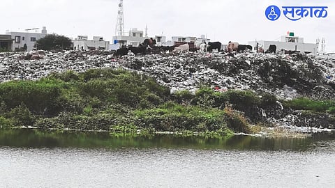 waste management project