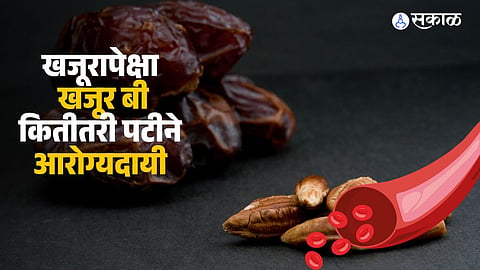 Health Benefits of Date Seeds Over Dates: