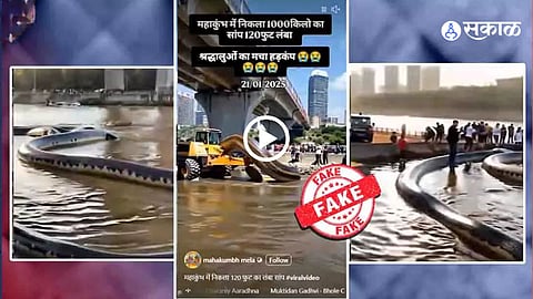 Maha Kumbh Mela Snake Viral Video