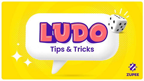 LUDO ZUPEE