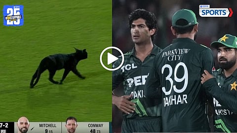 PAK vs NZ Black cat video viral
