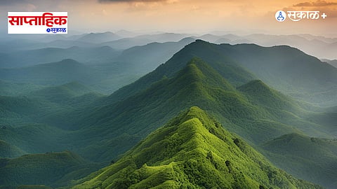Sahyadri's Green Secrets