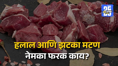 हलाल आणि झटका मांस, दोन्हीत फरक काय? मल्हार सर्टिफिकेशनमुळे सुरू झालीय चर्चा
