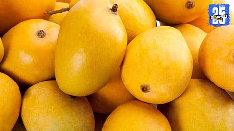 Mango Season