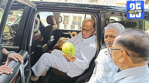 Sharad Pawar picks 'Sharad Amba' at farm, appreciates farmer with a warm gesture