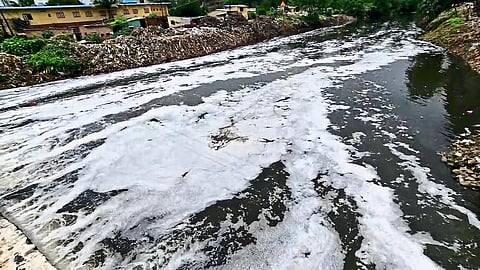 वालधुनी नदीला प्रदूषणाचा फेस!