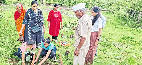 सखाराम, सकुबाई, सोहम अन् साक्षीचे शेतातले झाड !