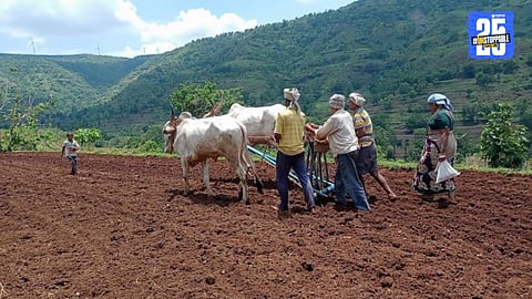 Pune Farming