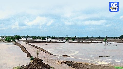 Kharif Crops Delay
