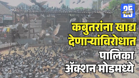 BMC action mode against pigeons feeding