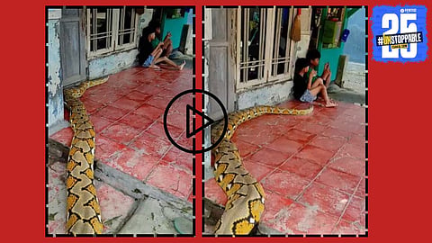 A massive python entered the house unnoticed while kids were engrossed in mobile screens—scene captured on viral video.