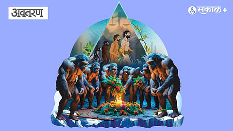 Human Evolution