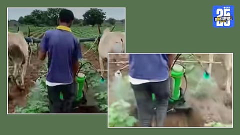 Video Viral