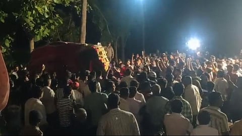 Nandani Math Elephant