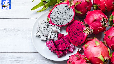 Red dragon fruit dominates Solapur APMC — 212 quintals traded in a single day, securing second place in total turnover.