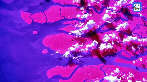 NASA astronaut Don Pettit shares Ganges River Delta photo from space