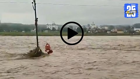 A boy clinging to an electric pole in a flooded river during the Dehradun flood, moments before being rescued.
