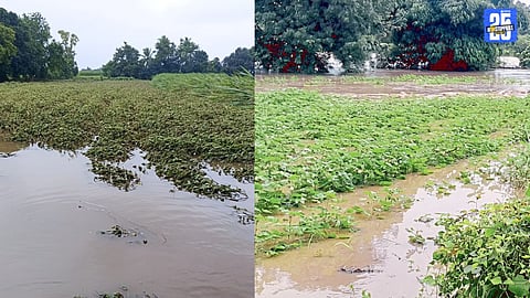 Beed Flood