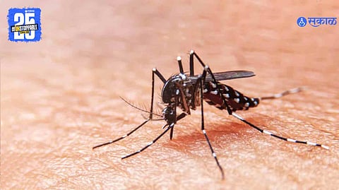 PMC Malaria Control