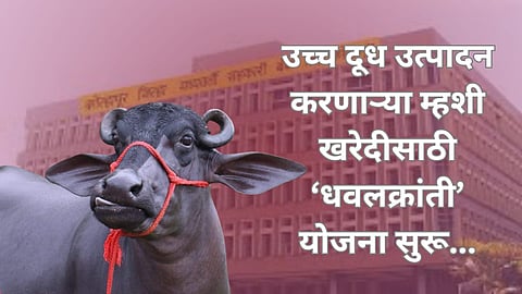 Kolhapur Jilha Bank