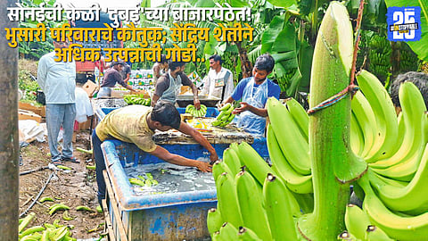 Bhusari family from Sonaich with their organic banana produce exported to Dubai.