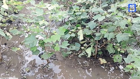 Beed Flood Damage Survey