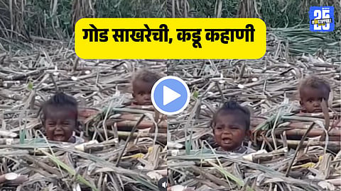 sugarcane laborers kids video goes viral on bal din touches millions