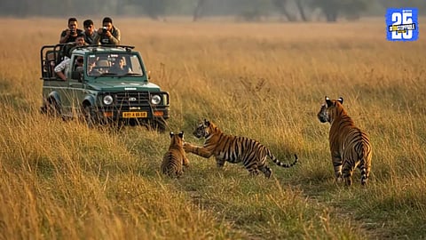 CM Yogi Adityanath inaugurates international eco-tourism project at Dudhwa National Park