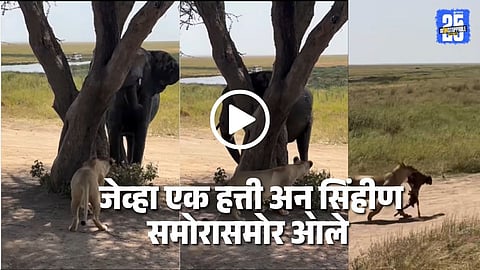 Viral Video