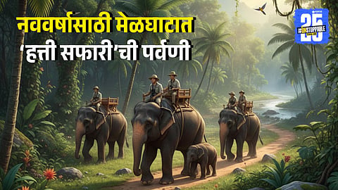 Elephant Safari in Melghat