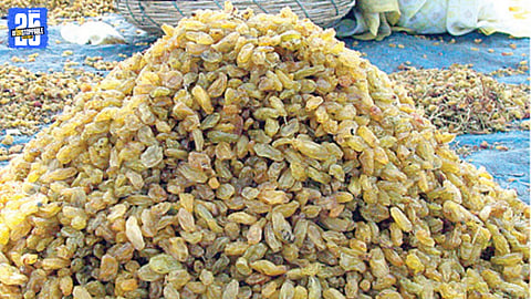 Chinese Raisins via Afghanistan Exposed