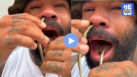 Viral Snake Video