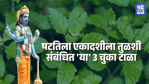 Makar Sankranti Tulsi puja mistakes to avoid Lakshmi angry: