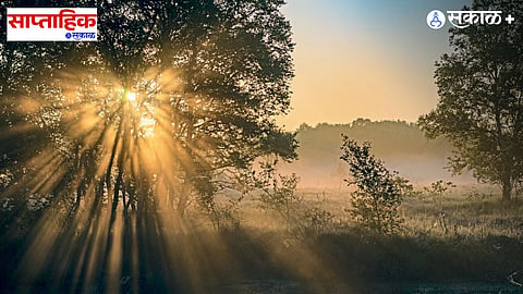 Surya Upasana and Vitamin D synthesis