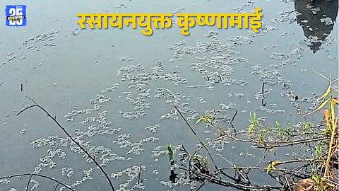 Polluted Krishna River water showing dark color and foam near Tambavya Dhoh.
