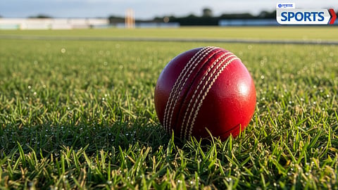 Cricket