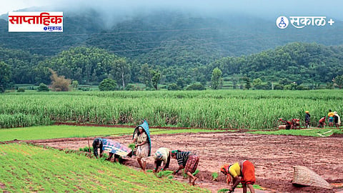 Women Farmers Contribution