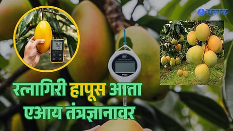 AI Technology to Revolutionize Ratnagiri Alphonso Mango Farming