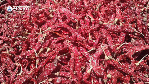 Empty chilli market yard