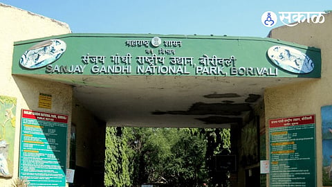 Sanjay Gandhi National Park