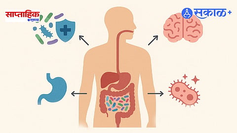 Human Microbiome Project