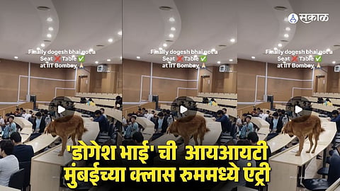 Viral Video: