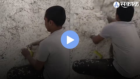Viral Video