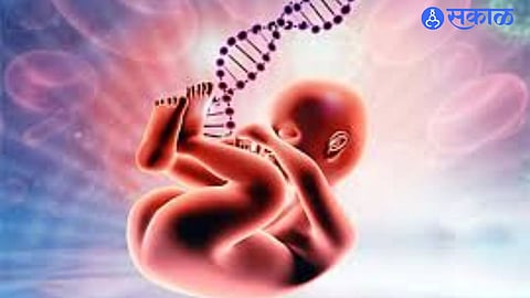 Fight Against Female Foeticide: MLA Sneha Dubey-Pandit Appointed to State Monitoring Committee