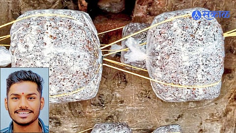 Mushroom Farming