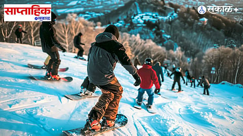 Snow Economy Trends