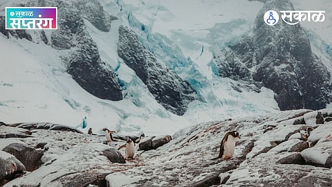 Antarctica Glacier Conservation